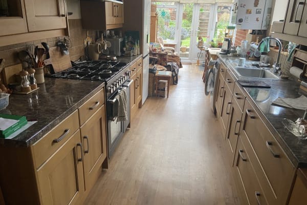 House sit in Ipswich, United Kingdom