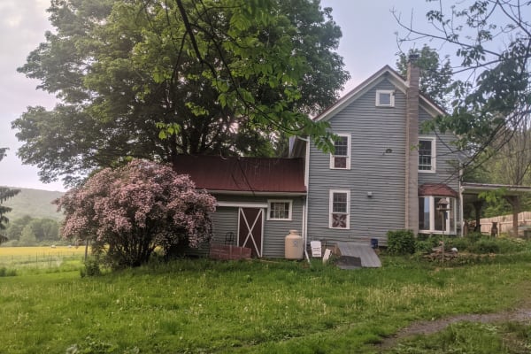 House sit in Angelica, NY, US