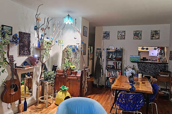 House sit in New York City, NY, US