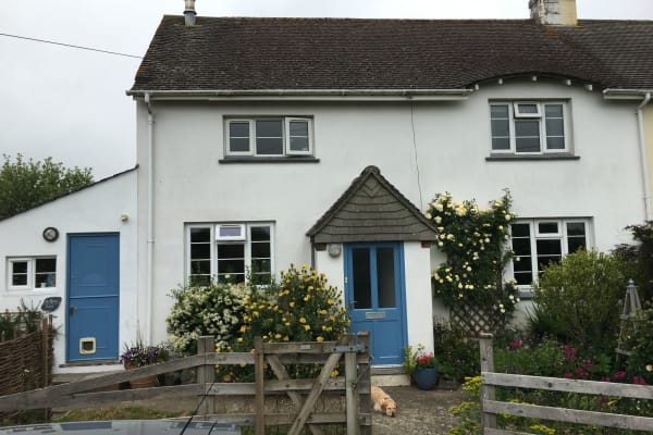 House sit in Totnes, United Kingdom