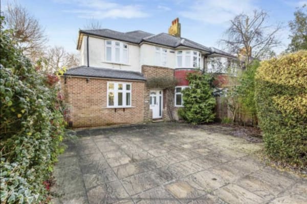 House sit in Kingston upon Thames, United Kingdom