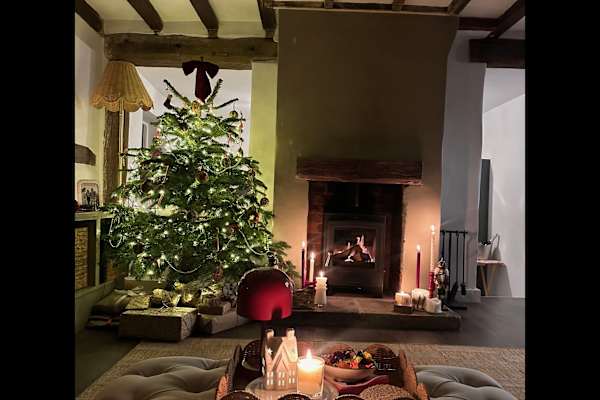 House sit in Godalming, United Kingdom
