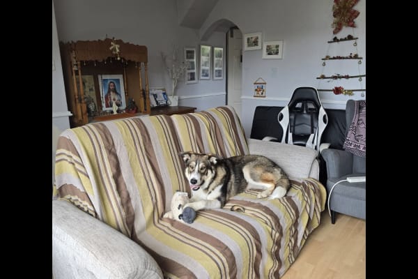 House sit in Culcheth, United Kingdom