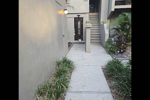 House sit in Clearwater, FL, US