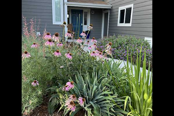 House sit in Boulder, CO, US