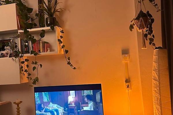 House sit in Rotterdam, Netherlands