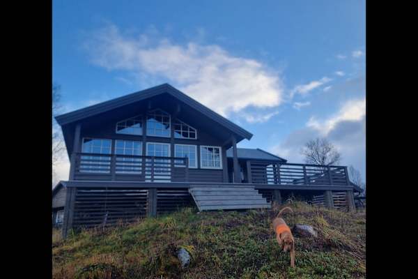 House sit in Finnsnes, Norway