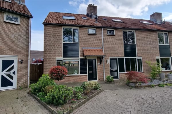 House sit in Deventer, Netherlands