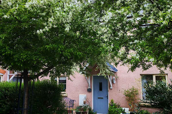 House sit in Wotton-under-Edge, United Kingdom