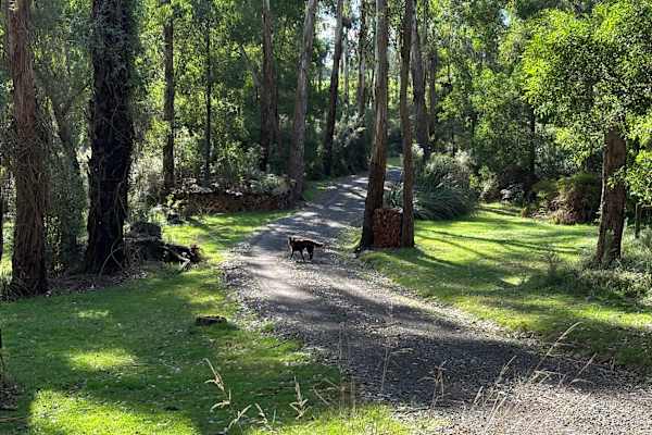 House sit in Warragul, VIC, Australia
