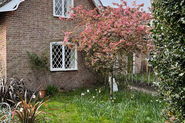 House sit in Dunwich, United Kingdom