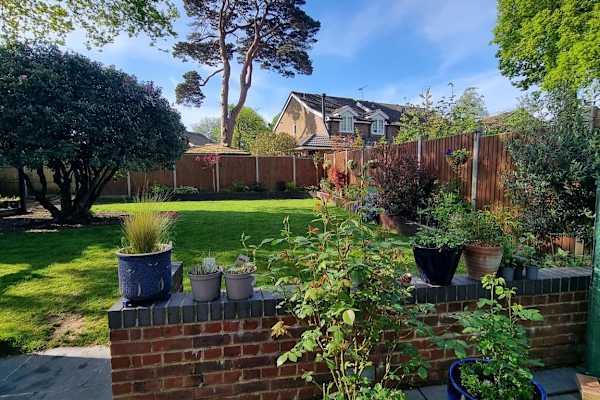House sit in Crawley, United Kingdom