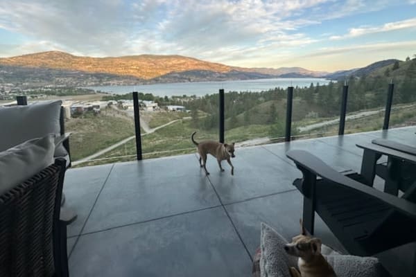 House sit in Penticton, BC, Canada