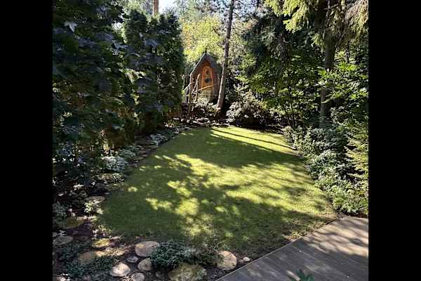 House sit in Warsaw, Poland
