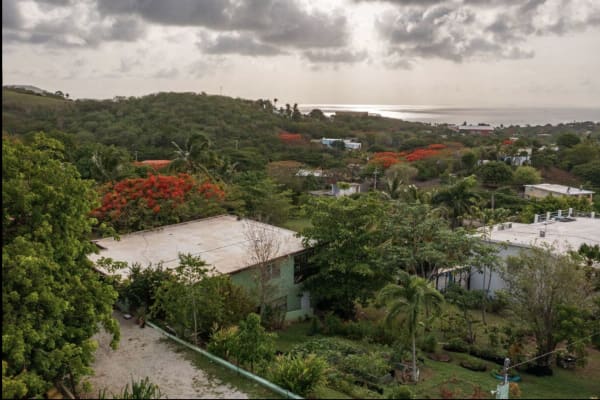 House sit in Vieques, Puerto Rico