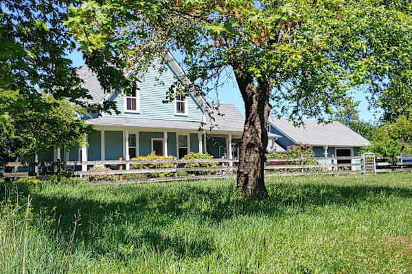 House sit in Tenino, WA, US