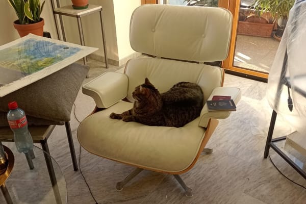 House sit in Lugano, Switzerland