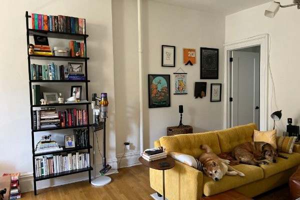 House sit in Brooklyn, NY, US