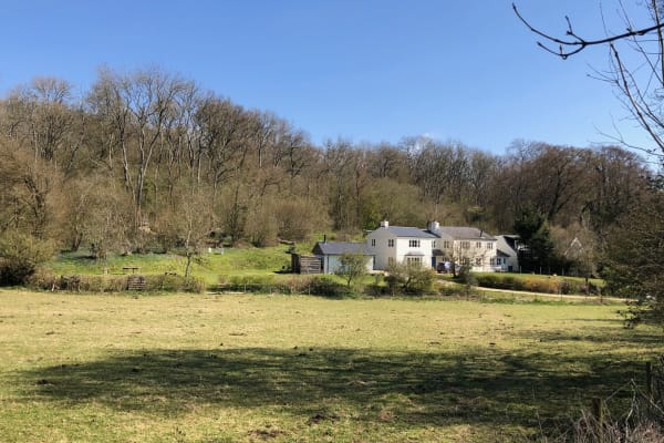 House sit in Alton, United Kingdom