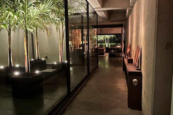 House sit in Mexico City, Mexico