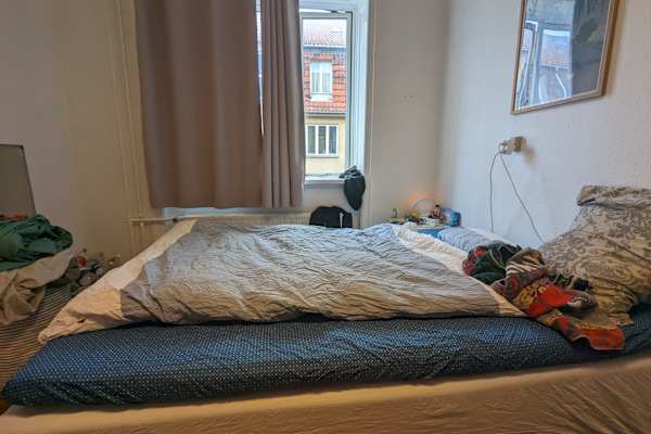 House sit in Copenhagen, Denmark