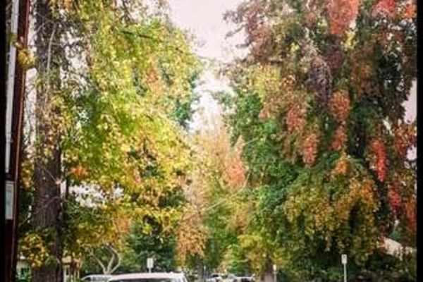 House sit in Sherman Oaks, CA, US