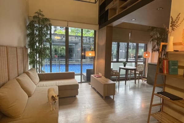 House sit in Singapore, Singapore