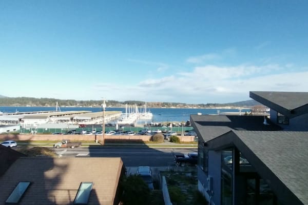 House sit in Anacortes, WA, US