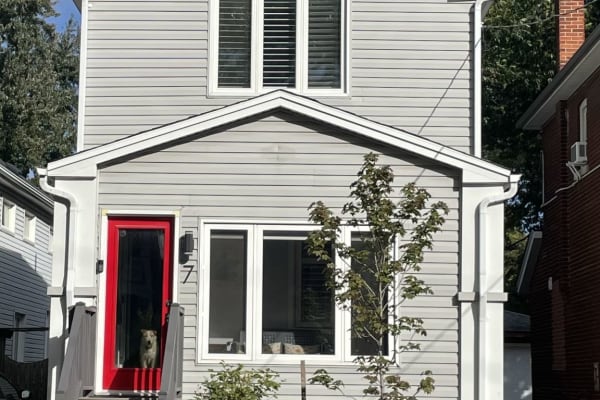 House sit in Toronto, ON, Canada