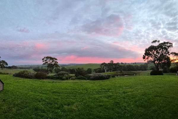House sit in Wistow, SA, Australia