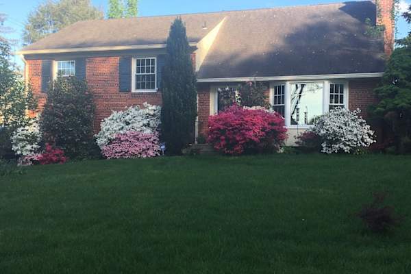 House sit in Falls Church, VA, US