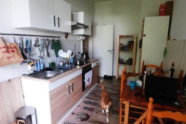 House sit in Hamburg, Germany