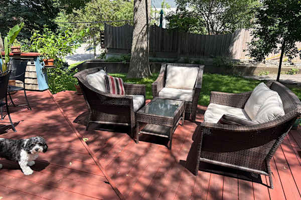 House sit in Minneapolis, MN, US