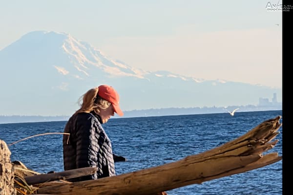 House sit in Freeland, WA, US