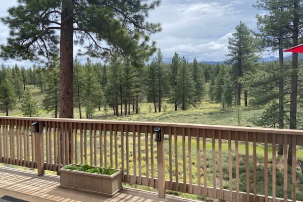 House sit in Truckee, CA, US