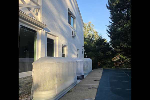 House sit in Alexandria, VA, US