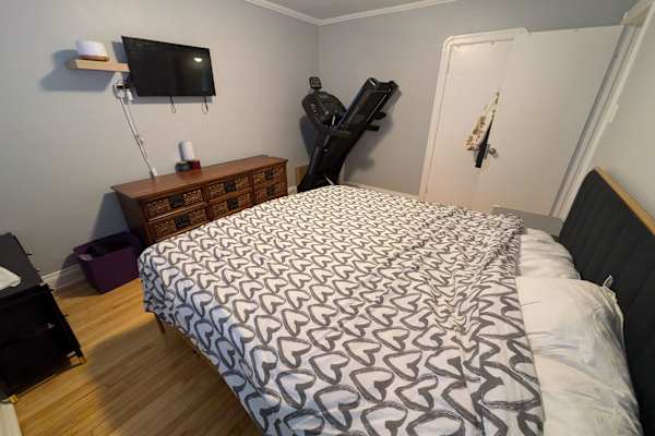 House sit in Toronto, ON, Canada