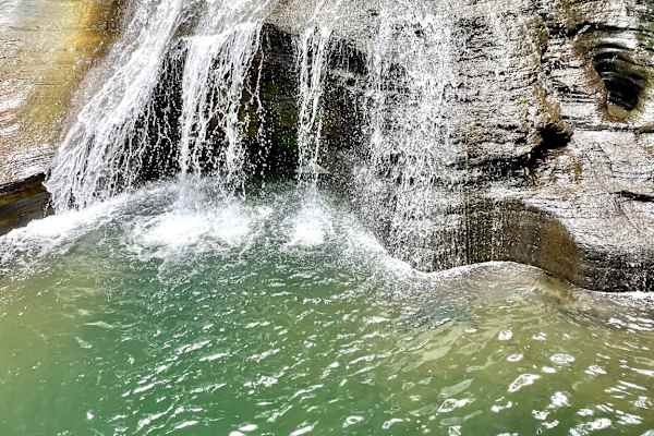 House sit in Ithaca, NY, US