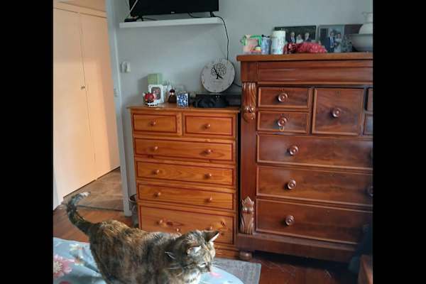 House sit in Heyfield, VIC, Australia