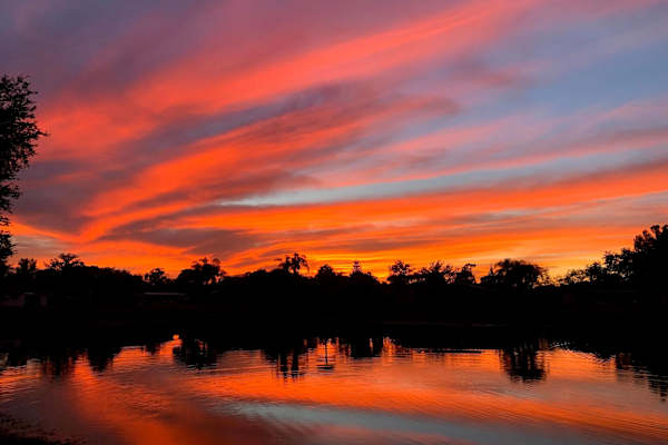 House sit in Casselberry, FL, US