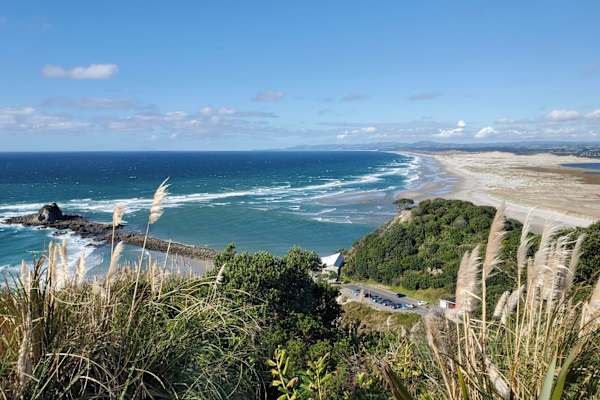 House sit in Mangawhai, New Zealand