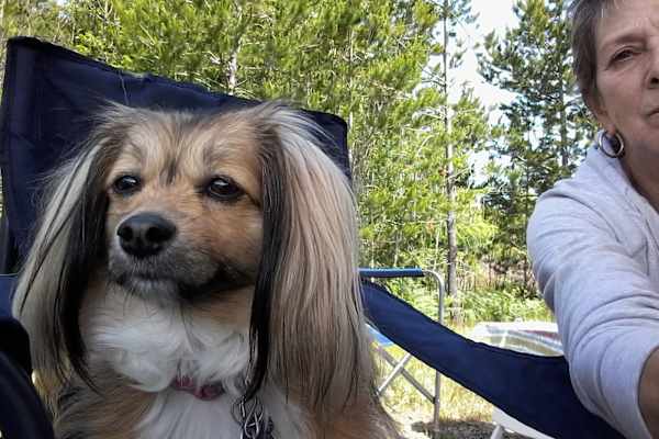 House sit in Ladysmith, BC, Canada