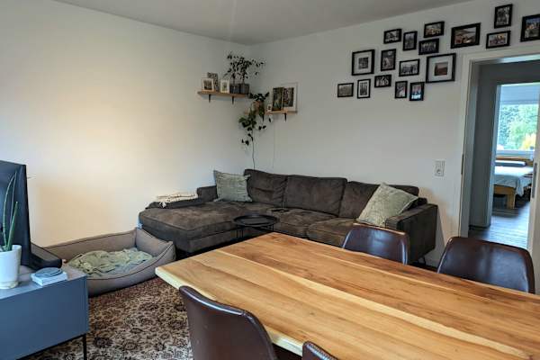 House sit in Köln, Germany