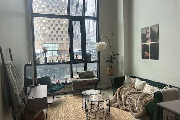 House sit in Montréal, QC, Canada