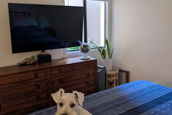 House sit in Palm Desert, CA, US