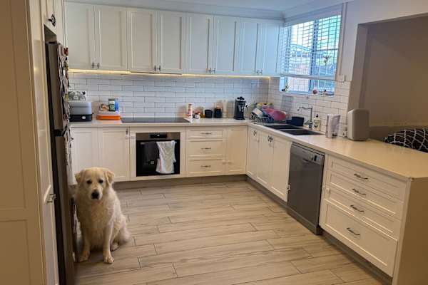 House sit in Earlwood, NSW, Australia