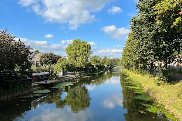 House sit in Veenendaal, Netherlands