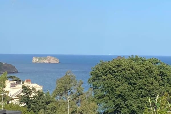 House sit in Torquay, United Kingdom