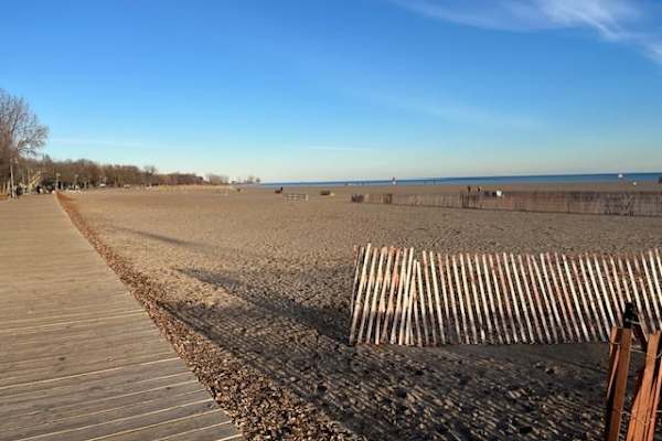 House sit in Toronto, ON, Canada