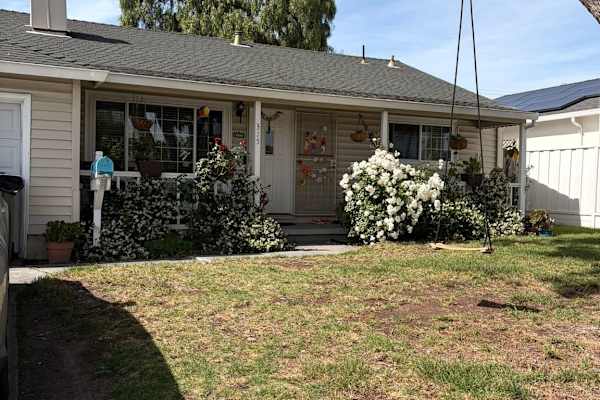 House sit in Milpitas, CA, US